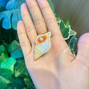 Colorful Marine Small Animal Grip Shell Bang Clip