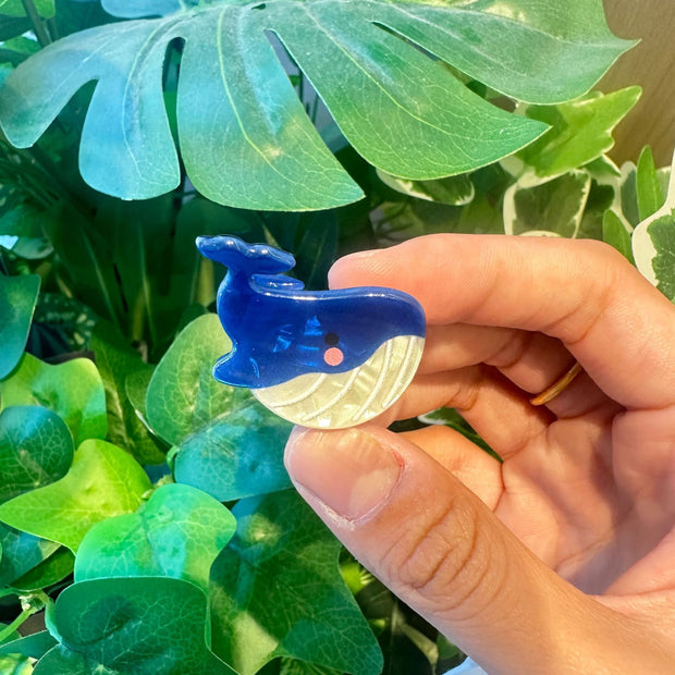 Colorful Marine Small Animal Grip Shell Bang Clip