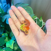 Colorful Marine Small Animal Grip Shell Bang Clip